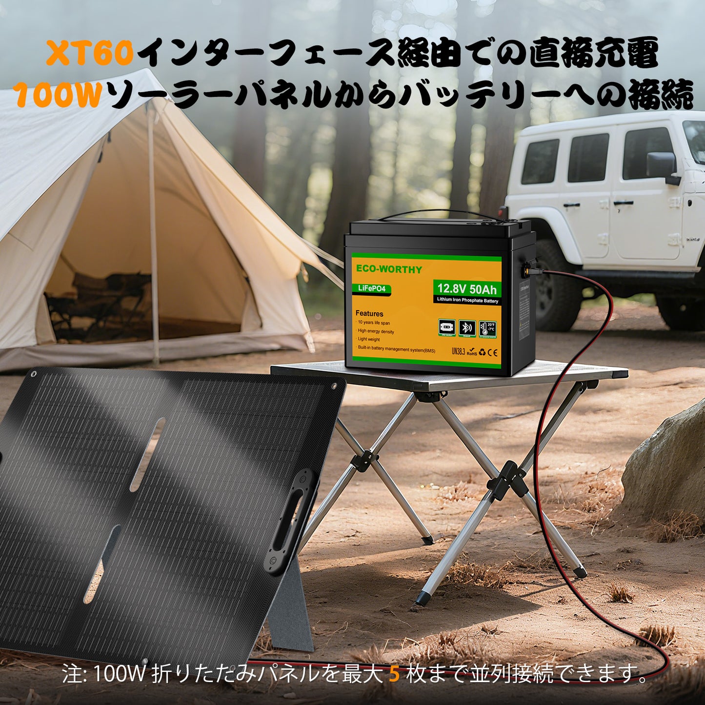 ECO-WORTHY 12V 50Ah LiFePO4リチウムバッテリー(XT60インターフェース、Bluetooth 5.0、低温保護機能付き)