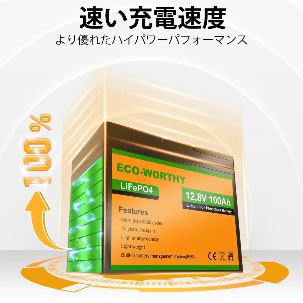LiFePO4 12V 100Ah リン酸鉄リチウム電池_6