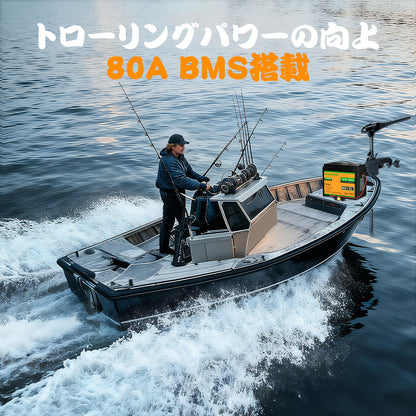 ECO-WORTHY 12V 50Ah LiFePO4リチウムバッテリー（XT60インターフェース、Bluetooth 5.0、低温保護機能付き）