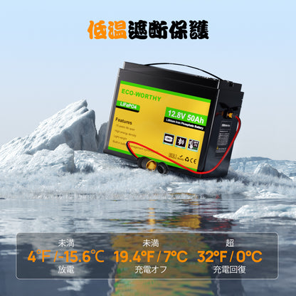 ECO-WORTHY 12V 50Ah LiFePO4リチウムバッテリー（XT60インターフェース、Bluetooth 5.0、低温保護機能付き）